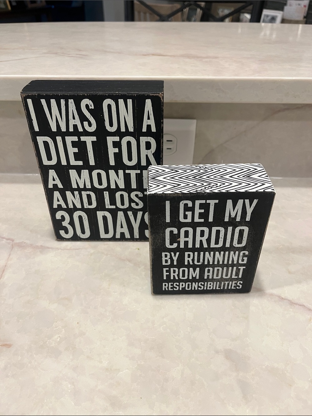 Humorous Decorative Wood Signs - Picture 2 of 5